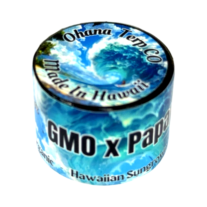 GMO x Papaya