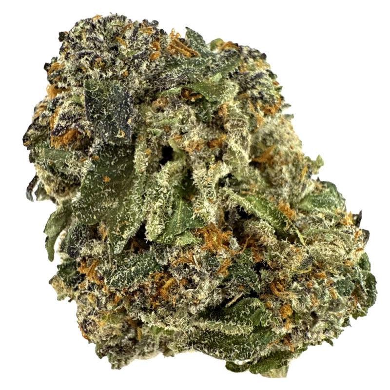 Florida OG THCA Hemp Flower – Dense Buds with Citrus Pine Nose