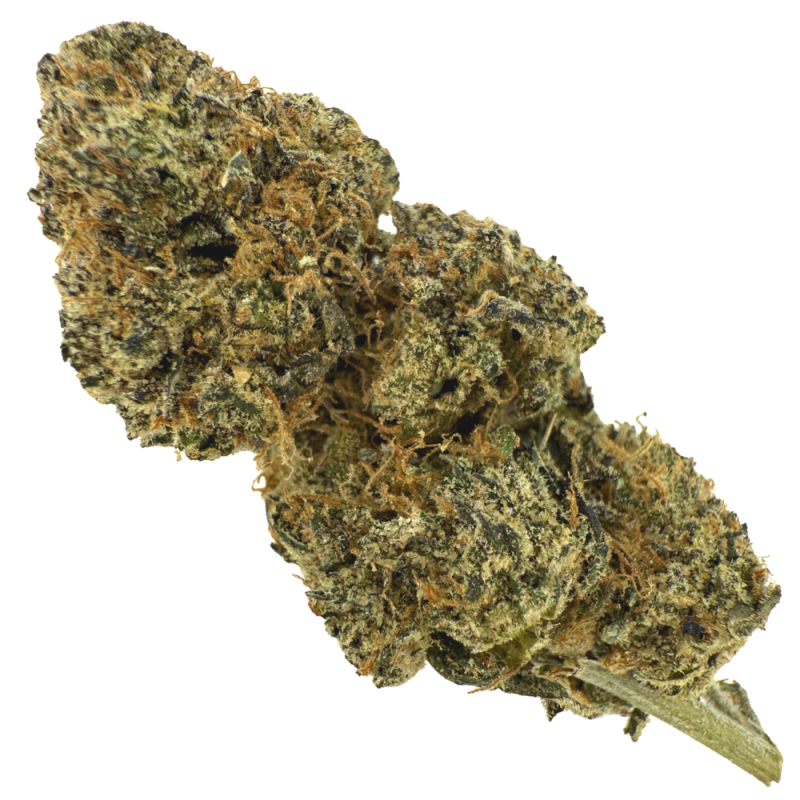 Zoap Indoor THCA Flower – Dense Bud Close-Up
