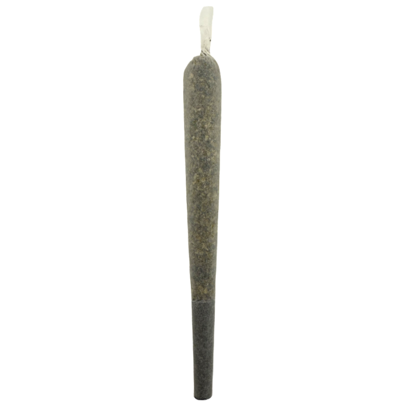Blue Nerdz THCA Preroll – Front View