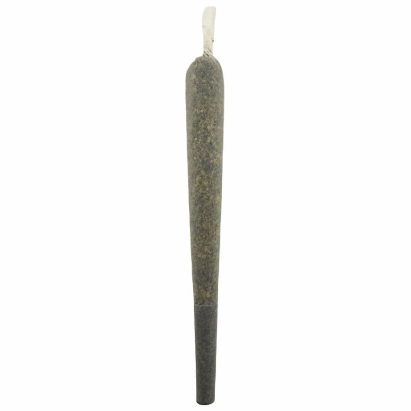 Lemon Poppers THCA Preroll – Front View