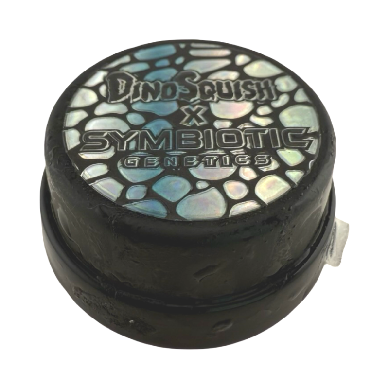 Midnight Scoop Cold Cure Rosin by DinoSquish x Symbiotic
