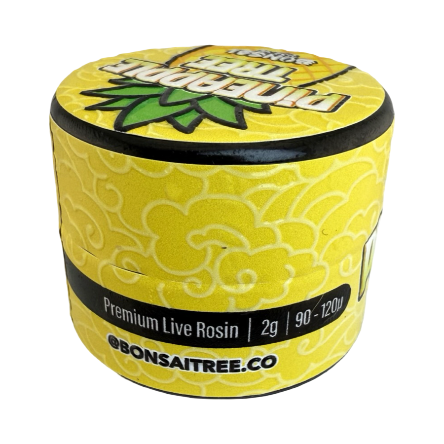 Pineapple Tree - Image 2