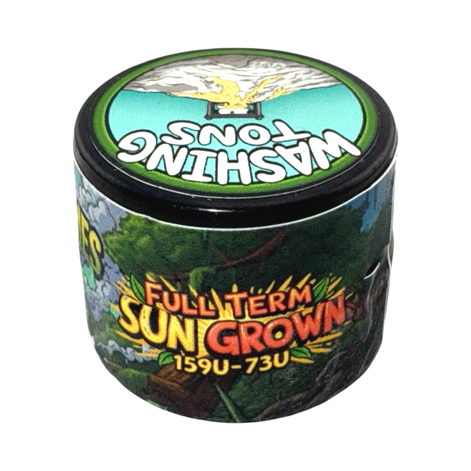 Swamp Water - Image 2